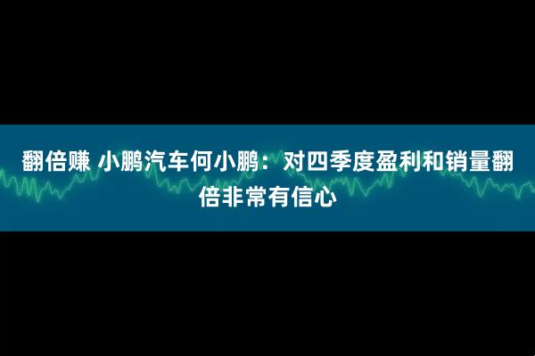翻倍赚 小鹏汽车何小鹏：对四季度盈利和销量翻倍非常有信心