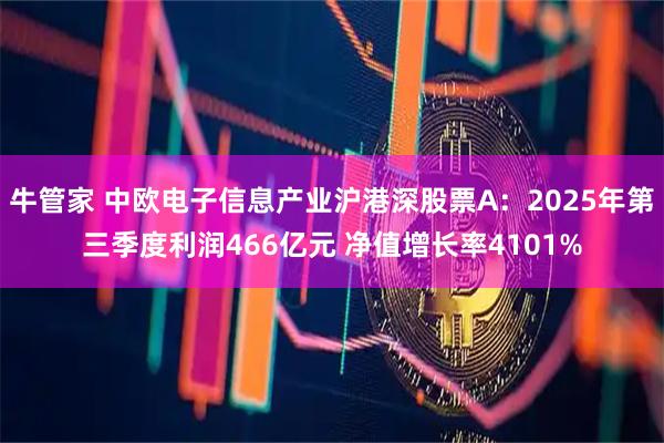 牛管家 中欧电子信息产业沪港深股票A：2025年第三季度利润466亿元 净值增长率4101%