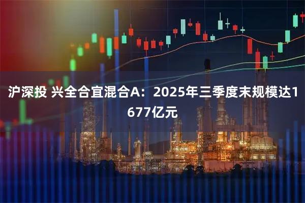 沪深投 兴全合宜混合A：2025年三季度末规模达1677亿元